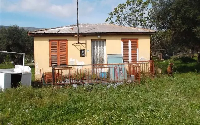 Отдельный дом в Закинтос