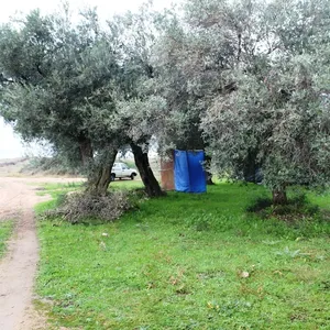 Земельный участок в Aristotle University of Thessaloniki, фото 4