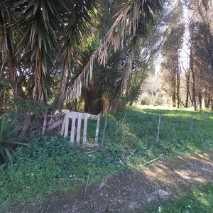 Земельный участок в Corfu, фото 2