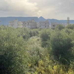 Земельный участок в Гази, фото 4