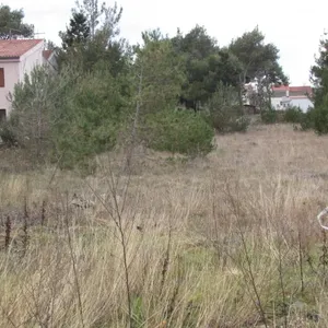 Земельный участок в Вир, фото 3