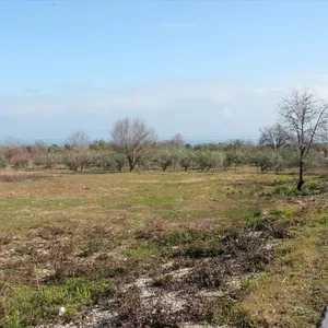 Земельный участок в Литохоро, фото 3