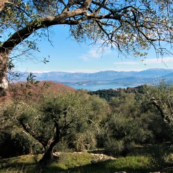 Земельный участок в Corfu, фото 1