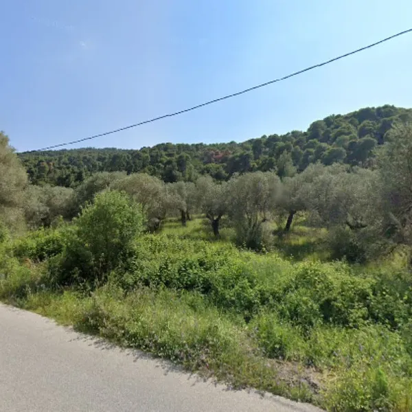 Земельный участок в Ситониа, фото 1