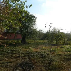 Дом в Бухарест, фото 5