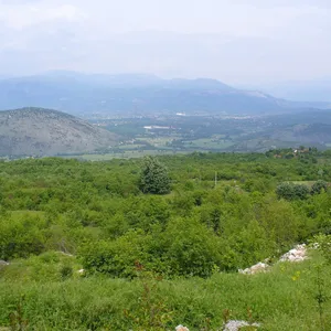 Ферма в Подгорица, фото 3