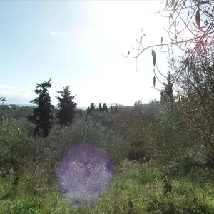 Земельный участок в Corfu, фото 4