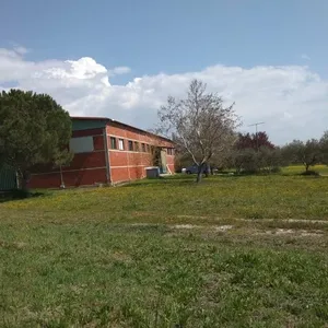 Коммерческая недвижимость в Ωραιόκαστρο, фото 3