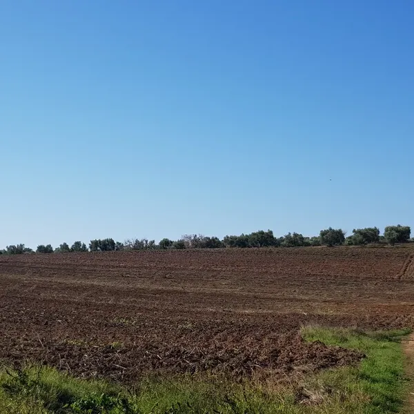 Земельный участок в Kassandra Municipality, фото 1
