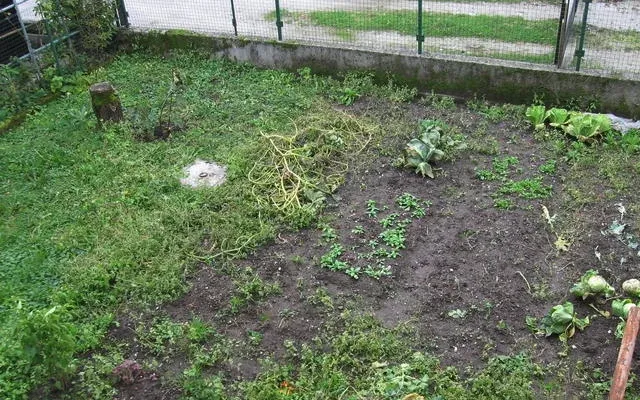 Дом в Любляна