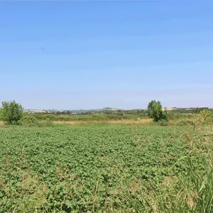 Земельный участок в Катерини, фото 2