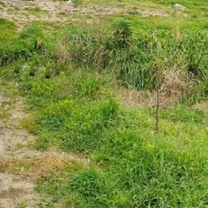Земельный участок в Македония и Фракия, фото 2