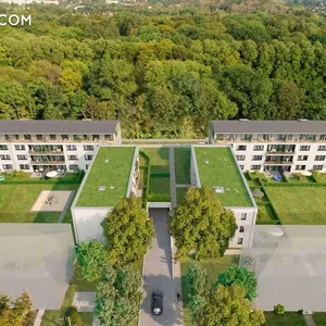 Wildrose in Berlin, фото 2