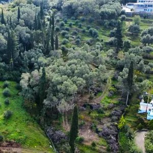 Земельный участок в Corfu, фото 3