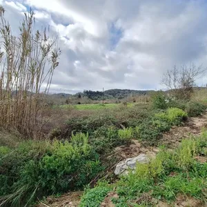 Земельный участок в Corfu, фото 3