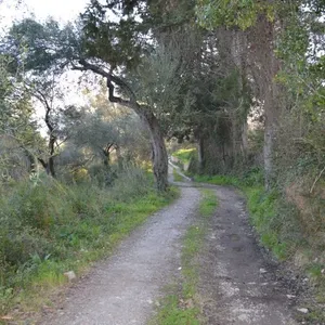 Земельный участок в Corfu, фото 5