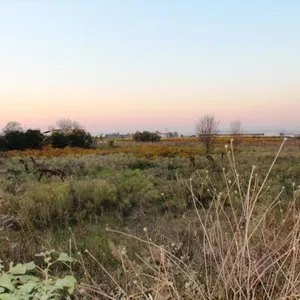 Земельный участок в Терми, фото 5
