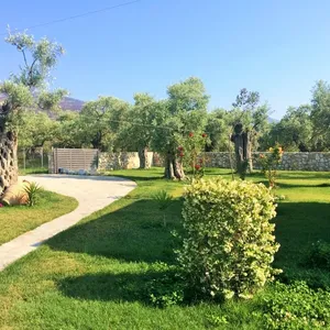 Коммерческая недвижимость в Регион Тасос, фото 2