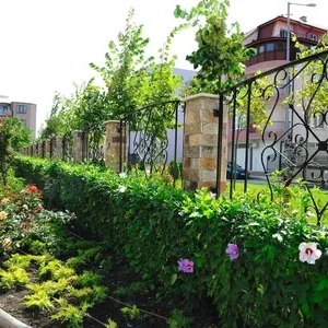Квартира в Несебр, фото 3