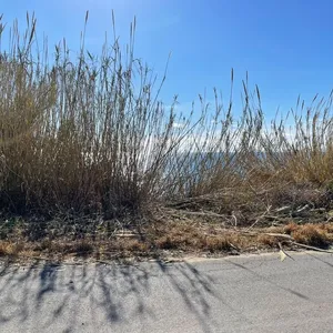 Земельный участок в Corfu, фото 3