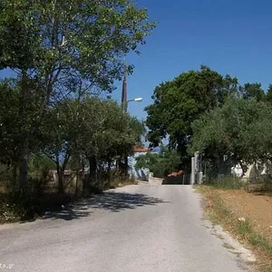 Земельный участок в Планос, фото 2