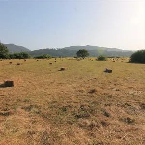 Земельный участок в Corfu, фото 3