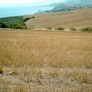 Земельный участок в Aristotle University of Thessaloniki, фото 5