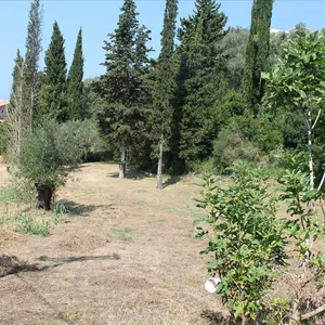 Земельный участок в Corfu, фото 3