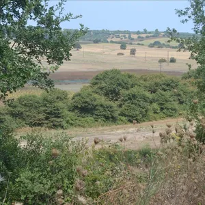 Земельный участок в Kassandra Municipality, фото 2