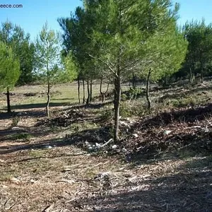 Земельный участок в Лоуха, фото 2