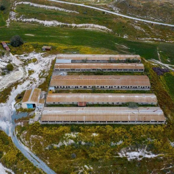Коммерческая недвижимость в Ларнака Муниципалитет, фото 2