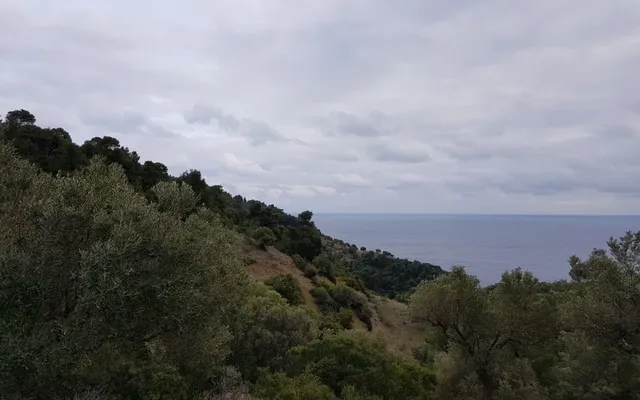 Земельный участок в Kassandra Municipality