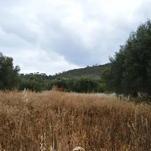 Земельный участок в Loutraki - Perachora, фото 2