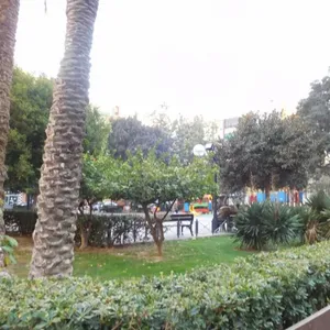 Квартира в Аликанте, фото 4