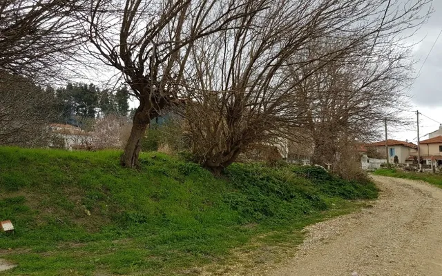 Земельный участок в Kassandra Municipality