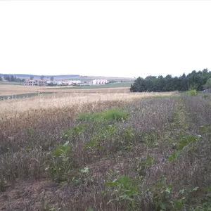 Земельный участок в Kassandra Municipality, фото 2