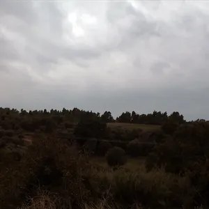 Земельный участок в Kassandra Municipality, фото 3