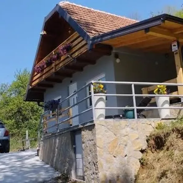 Дом в Багина Башта, фото 1