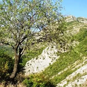 Земельный участок в Бар, фото 4