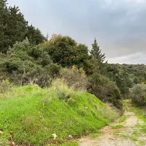 Земельный участок в Вамо, фото 3
