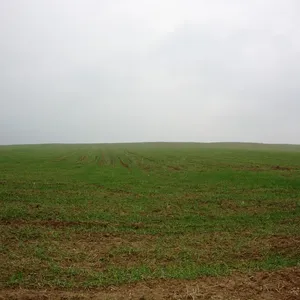 Земельный участок в Микра, фото 2