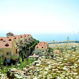 Квартира в Алания, фото 2