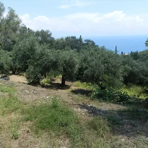 Земельный участок в Corfu, фото 2