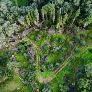 Земельный участок в Corfu, фото 5