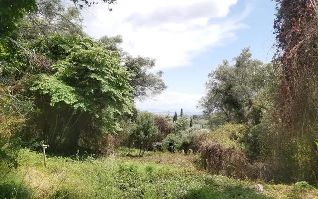 Земельный участок в Corfu