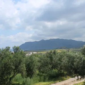 Земельный участок в Ситиа, фото 4
