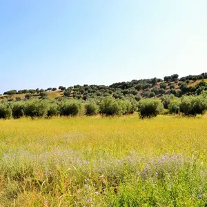 Земельный участок в Kassandra Municipality, фото 2