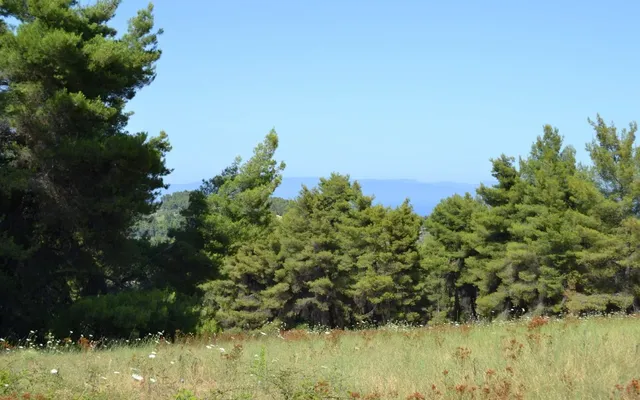 Земельный участок в Kassandra Municipality