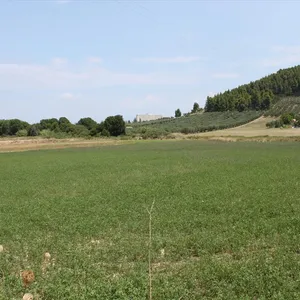 Земельный участок в Kassandra Municipality, фото 3