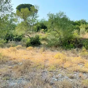 Земельный участок в Corfu, фото 4